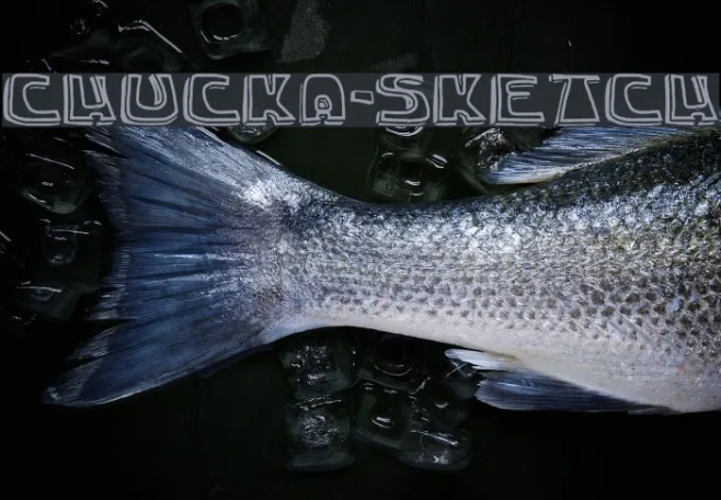 chucka-sketch Example 1