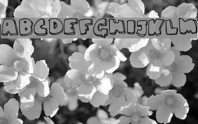 chunky Font examples