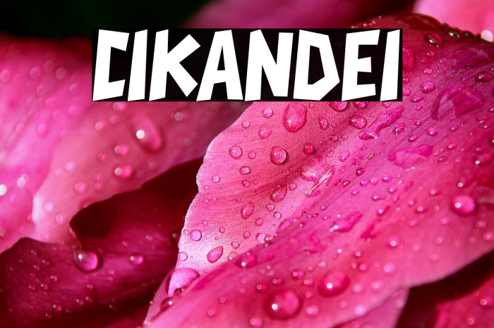 CIKANDEI Font examples