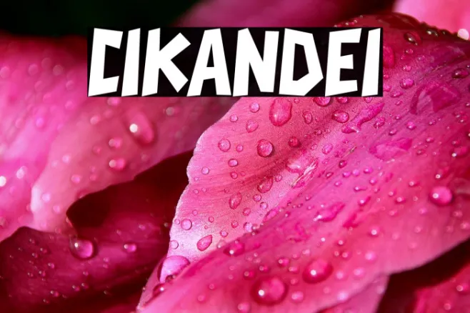 CIKANDEI Example 3