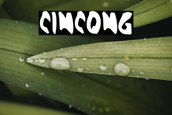 CINCONG Example 1