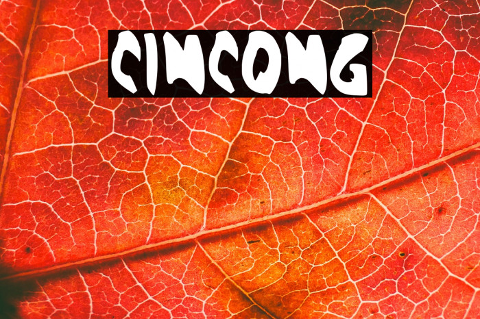 CINCONG Example 2
