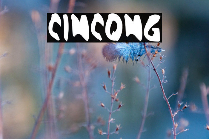 CINCONG Example 3