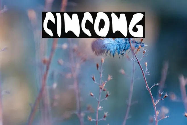 CINCONG Example 3