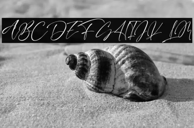 CINTA SEHATTI フォント examples