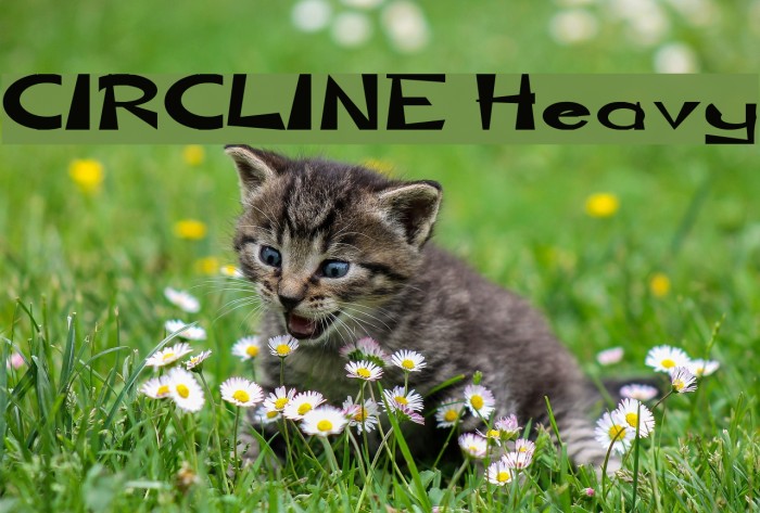 CIRCLINE Heavy Font examples