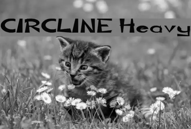 CIRCLINE Heavy フォント examples
