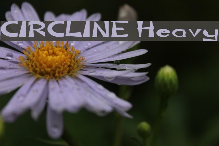 CIRCLINE Heavy Font examples