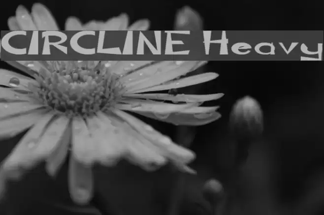 CIRCLINE Heavy フォント examples