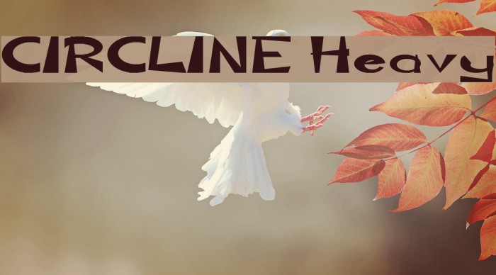 CIRCLINE Heavy Font examples