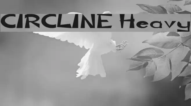 CIRCLINE Heavy フォント examples
