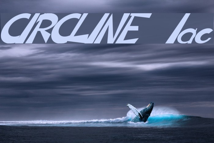 CIRCLINE Italic Fuentes examples