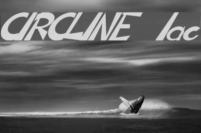 CIRCLINE Italic Fuentes examples