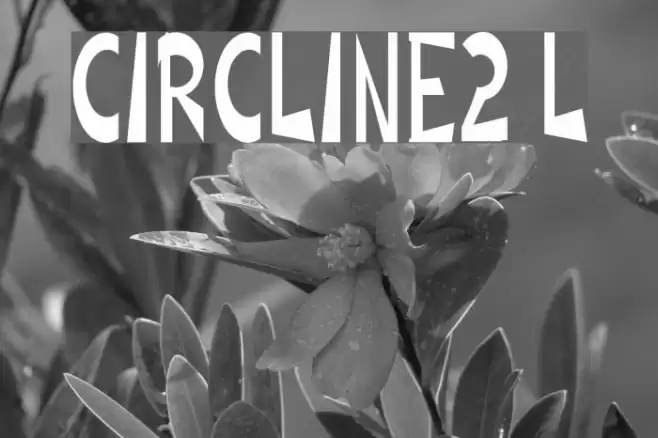 CIRCLINE2 Light Fuentes examples