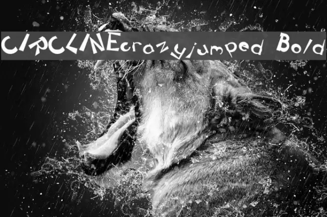 CIRCLINEcrazyjumped Bold フォント examples