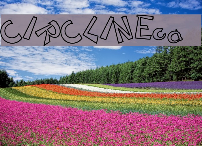 CIRCLINEcrazyjumped outline Font examples
