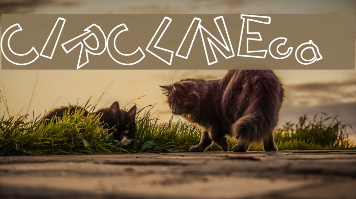 CIRCLINEcrazyjumped outline Font examples