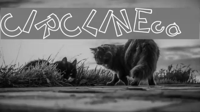 CIRCLINEcrazyjumped outline Schriftart examples