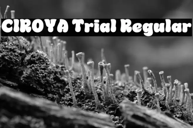 CIROYA Trial Regular フォント examples