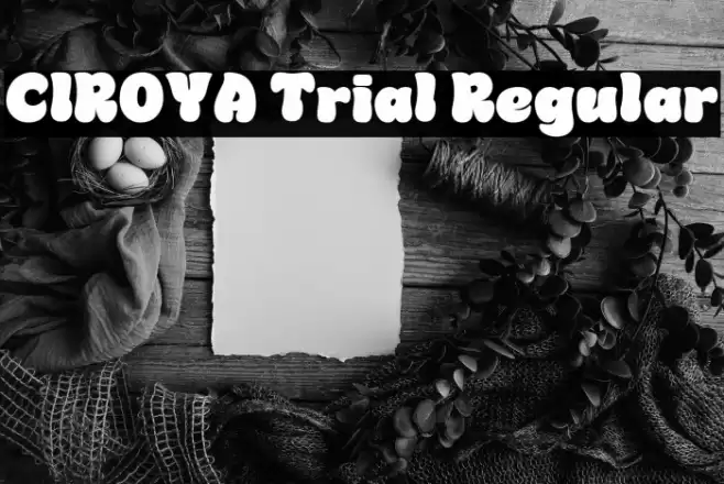 CIROYA Trial Regular フォント examples
