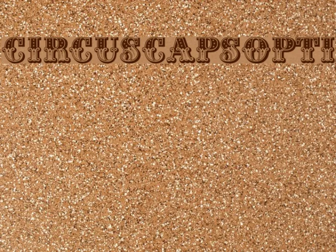 CIRcusCapsOpti Example 1