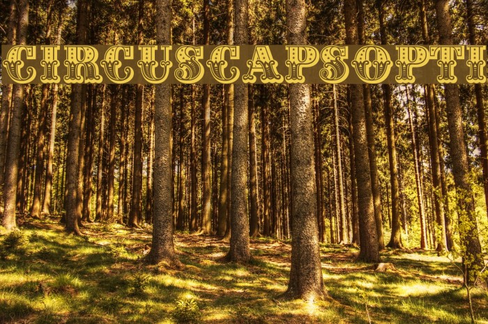 CIRcusCapsOpti Font examples