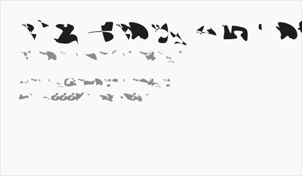 CISF Camouflage Kit III Business Card