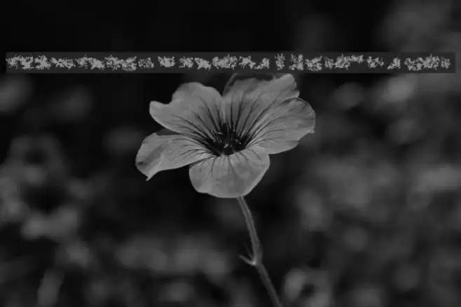 CISF Camouflage Kit Modernized Font examples