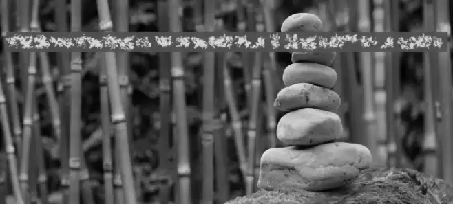 CISF Camouflage Kit Modernized Font examples