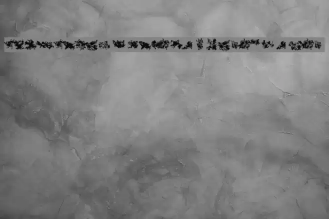 CISF Camouflage Kit Modernized Font examples