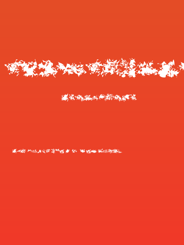 CISF Camouflage Kit Modernized Poster