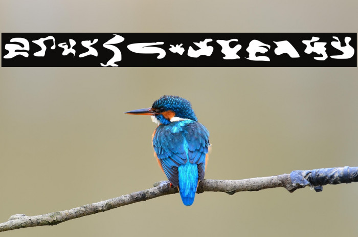 CISF Camouflage Kit Example 2