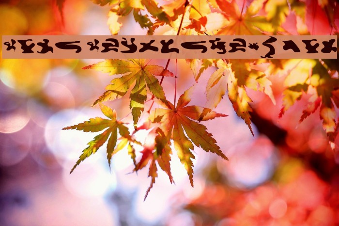 CISF Camouflage Kit Example 2