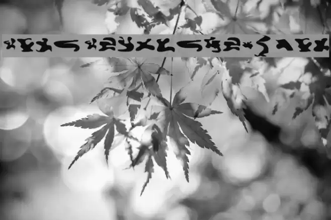 CISF Camouflage Kit Font examples