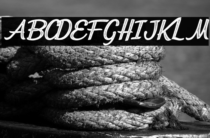 CITRICACID PERSONAL USE Bold Italic Example 2