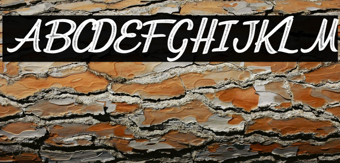 CITRICACID PERSONAL USE Bold Italic Example 3