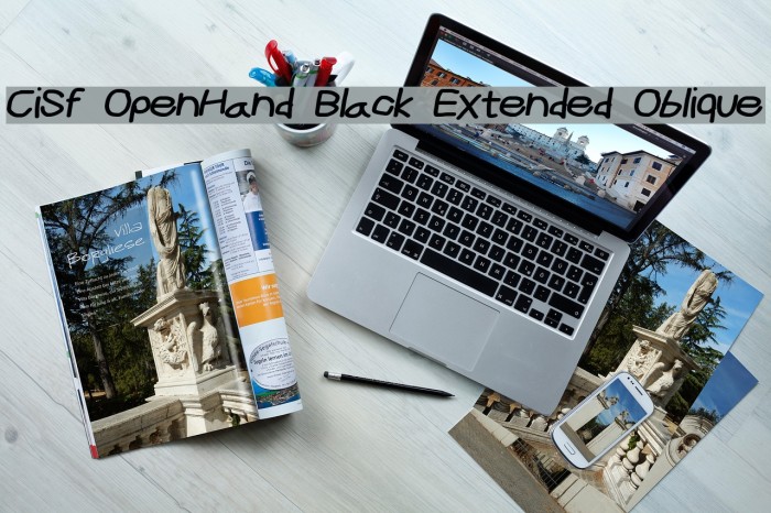 CiSf OpenHand Black Extended Oblique Font examples