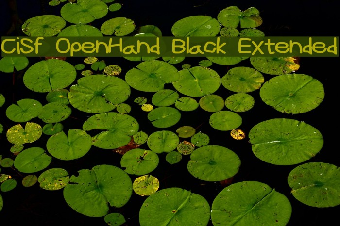 CiSf OpenHand Black Extended Font examples