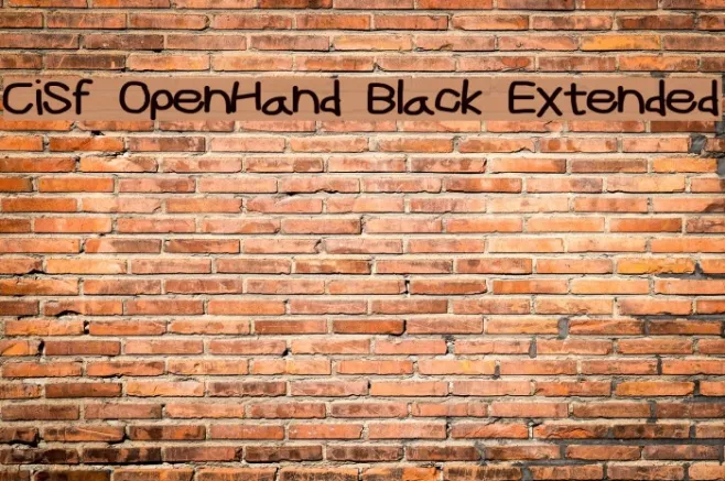 CiSf OpenHand Black Extended Example 3