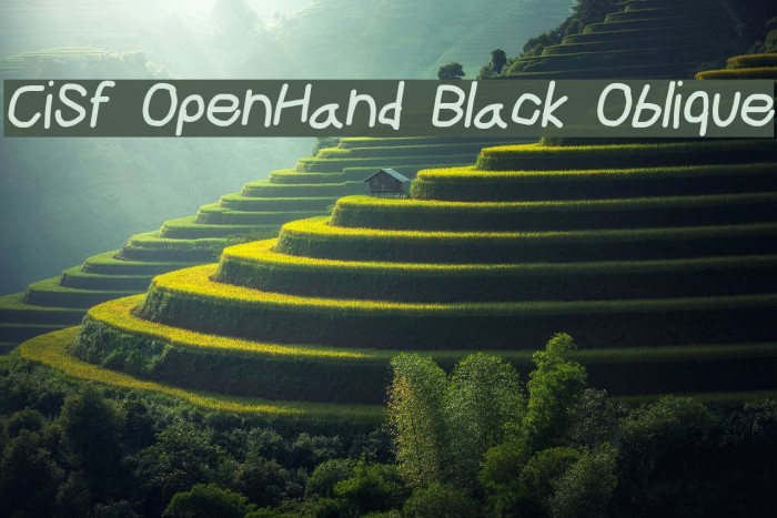 CiSf OpenHand Black Oblique Font examples