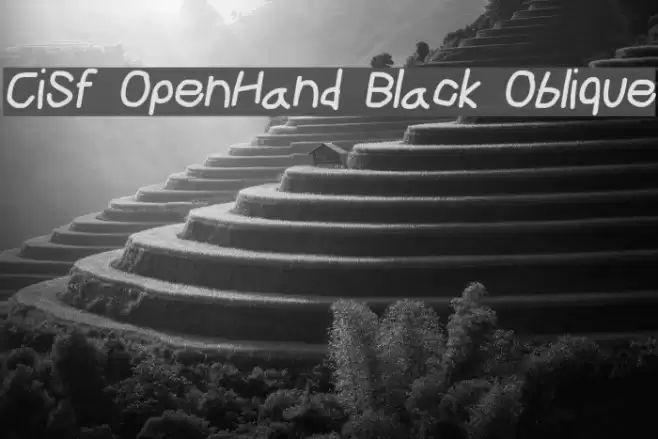 CiSf OpenHand Black Oblique Font examples
