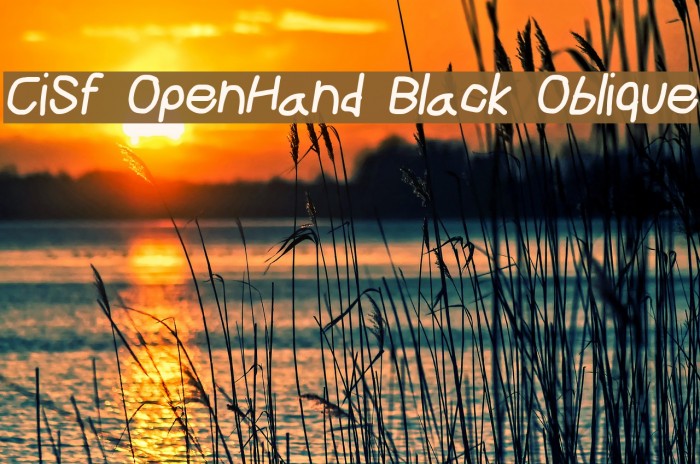 CiSf OpenHand Black Oblique Font examples