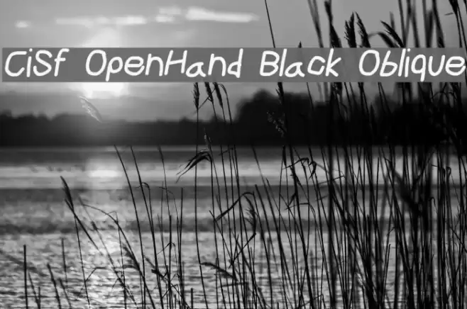 CiSf OpenHand Black Oblique Font examples
