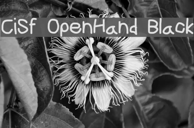 CiSf OpenHand Black フォント examples