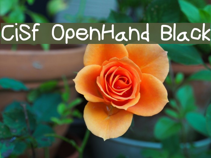 CiSf OpenHand Black Font examples