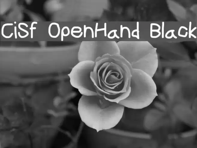CiSf OpenHand Black フォント examples
