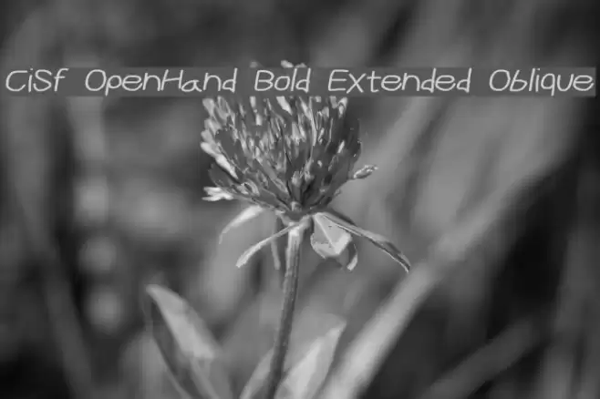 CiSf OpenHand Bold Extended Oblique Шрифта examples