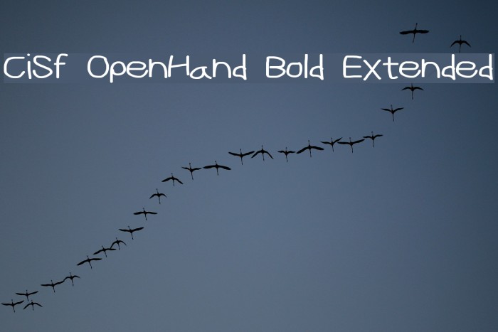 CiSf OpenHand Bold Extended Font examples