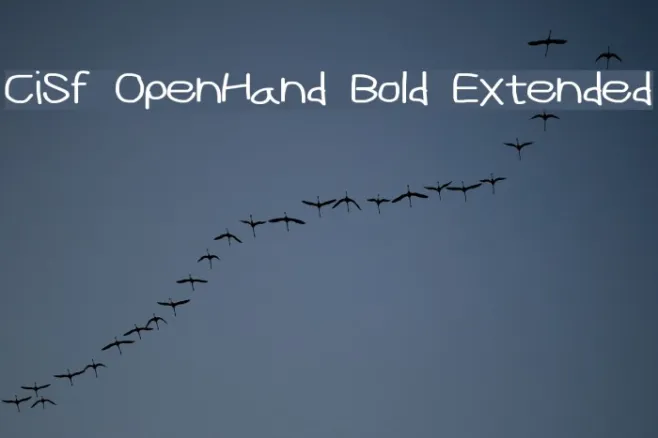 CiSf OpenHand Bold Extended Example 1
