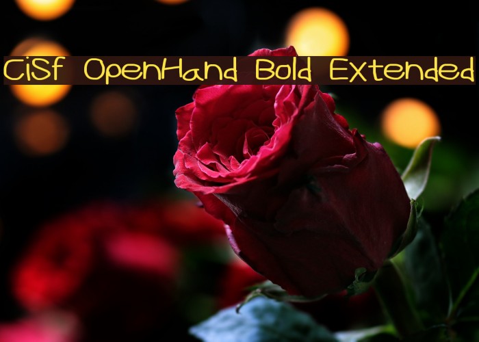 CiSf OpenHand Bold Extended Font examples